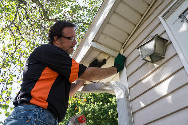 Best Storm Damage Siding Repair  in Pineville, LA
